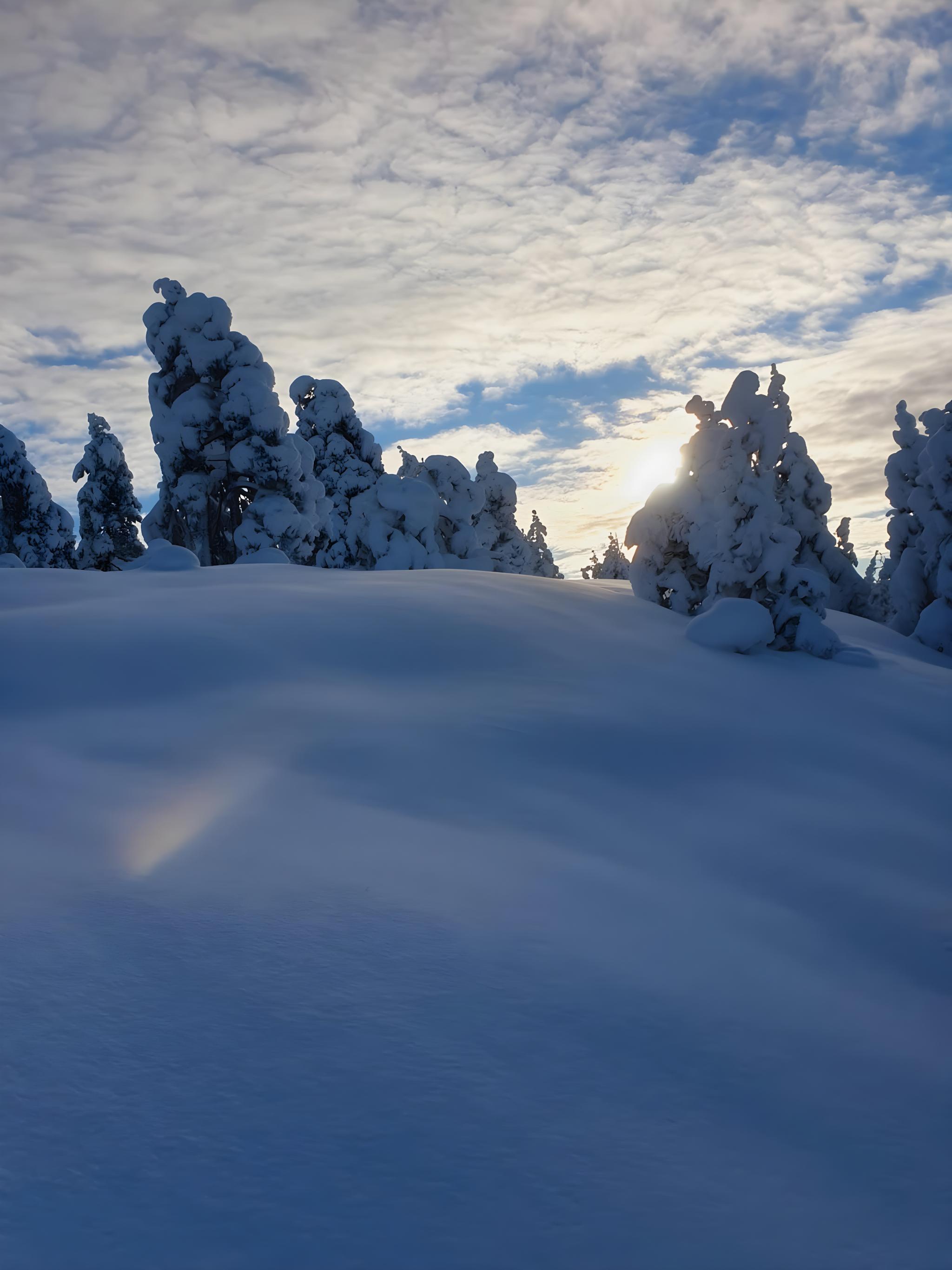 Flott terreng på vei mot Nordbykollen.